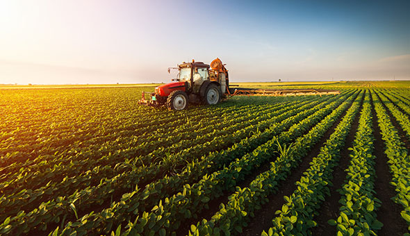 Agriculture Agriculture